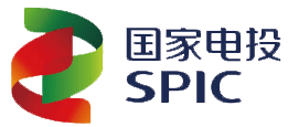 國(guó)家電投
